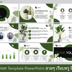 TP 0017powerpointสวยๆ ธีมธรรมชาติ สำหรับพรีเซนงาน เทมเพลตpowerpoint สไตล์มินิมอล